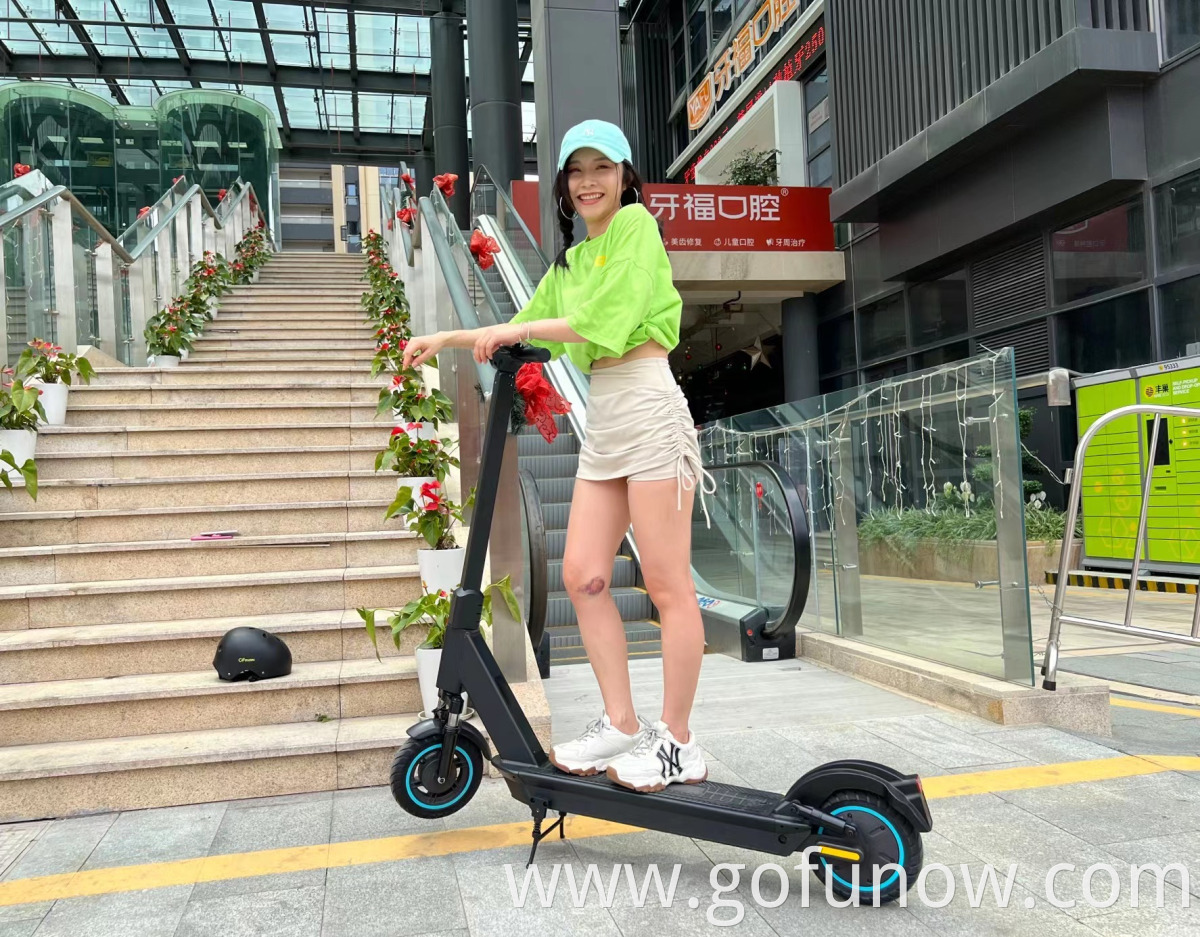 Gofunow VS10 Pro Electric Scooters Picture